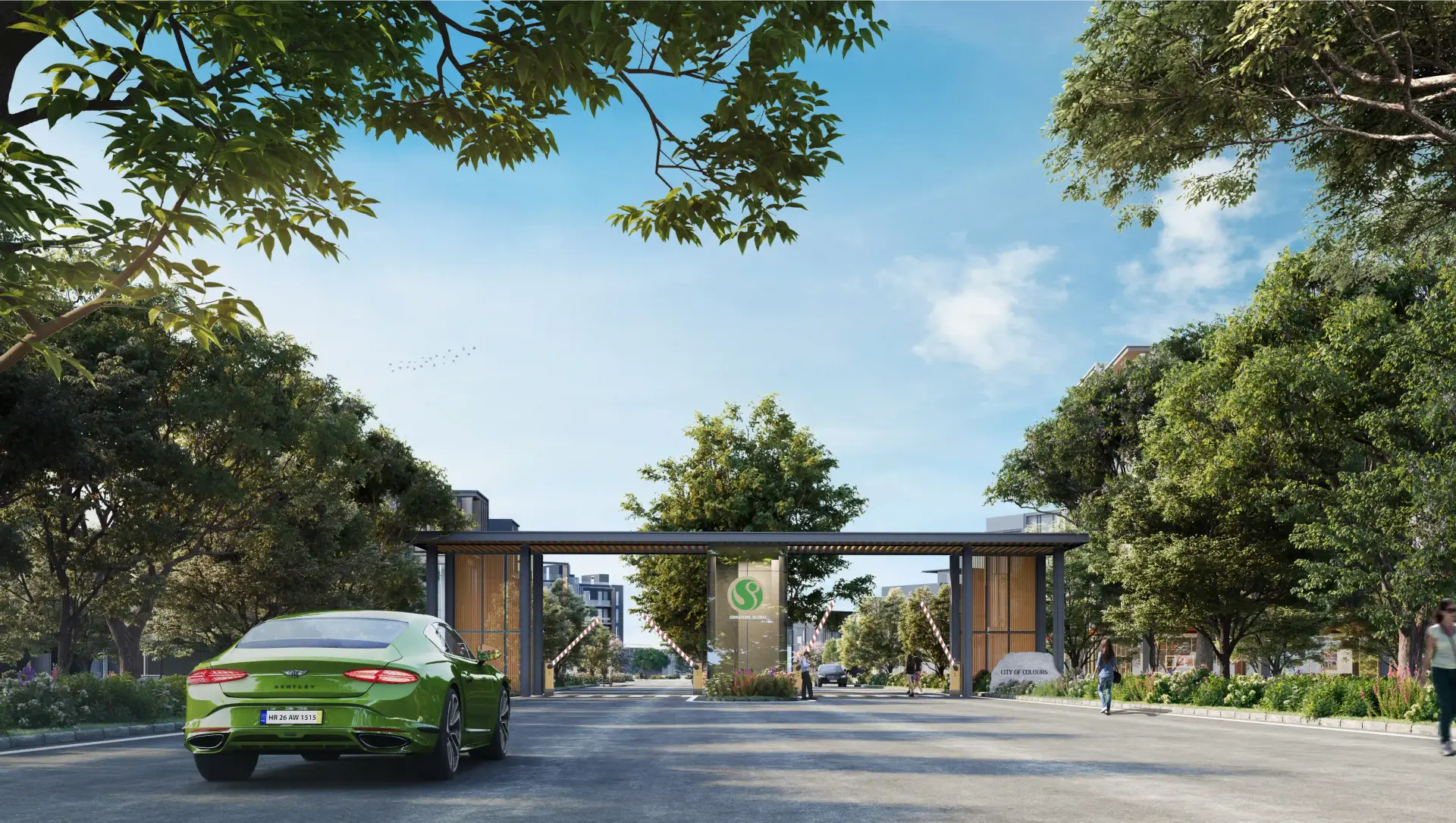 Signature City Of Colours